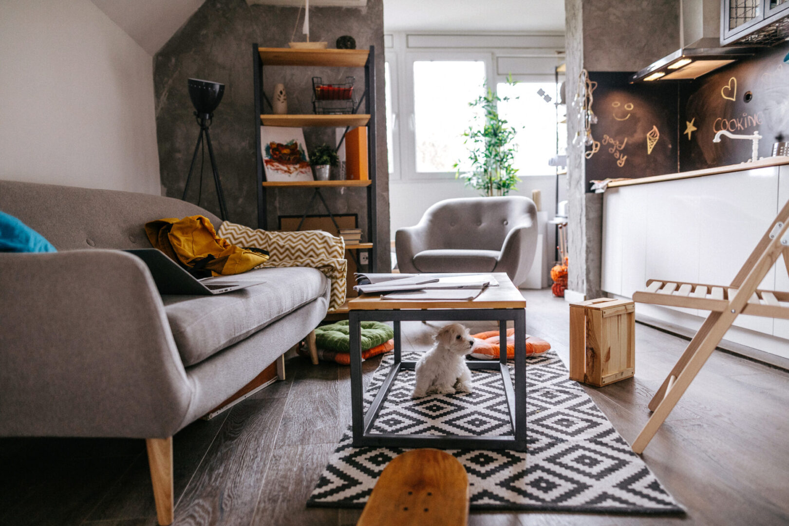 Cozy living room with small dog