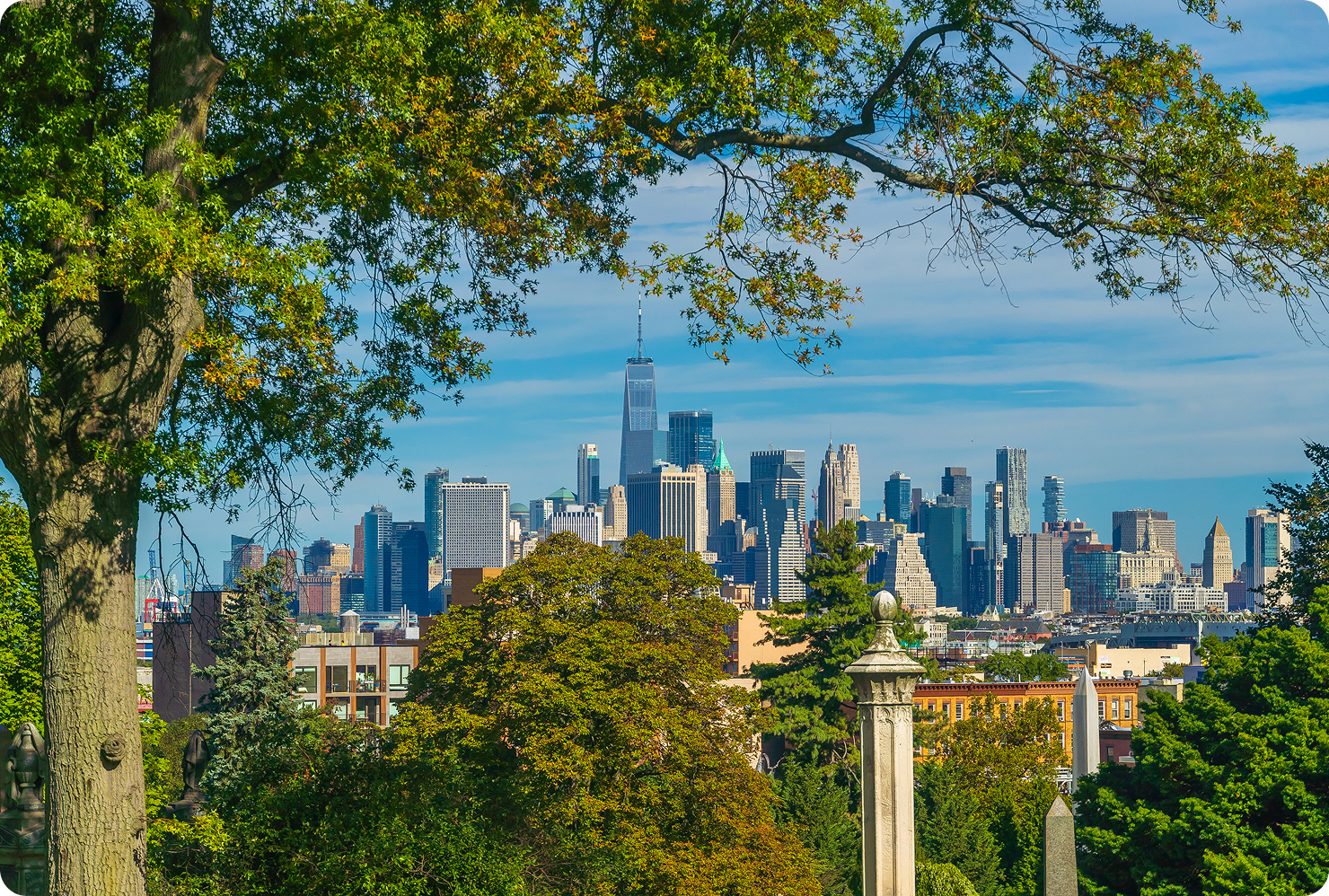 City skyline framed by trees