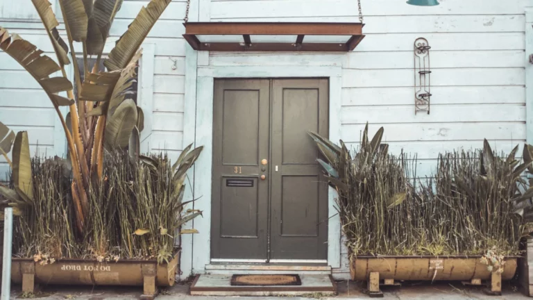 Green door with potted plants outside