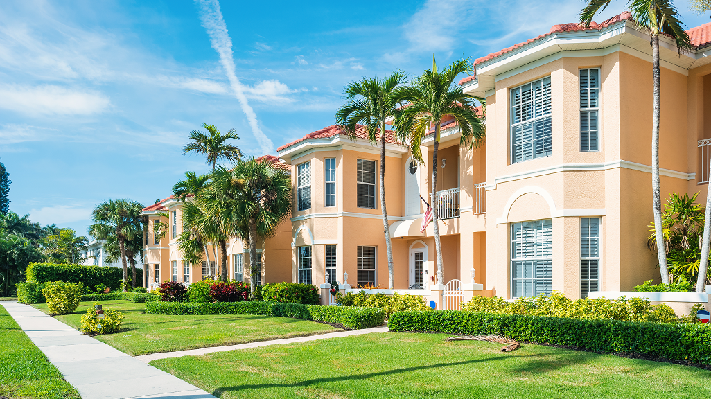 Colorful tropical apartment buildings with palm trees
